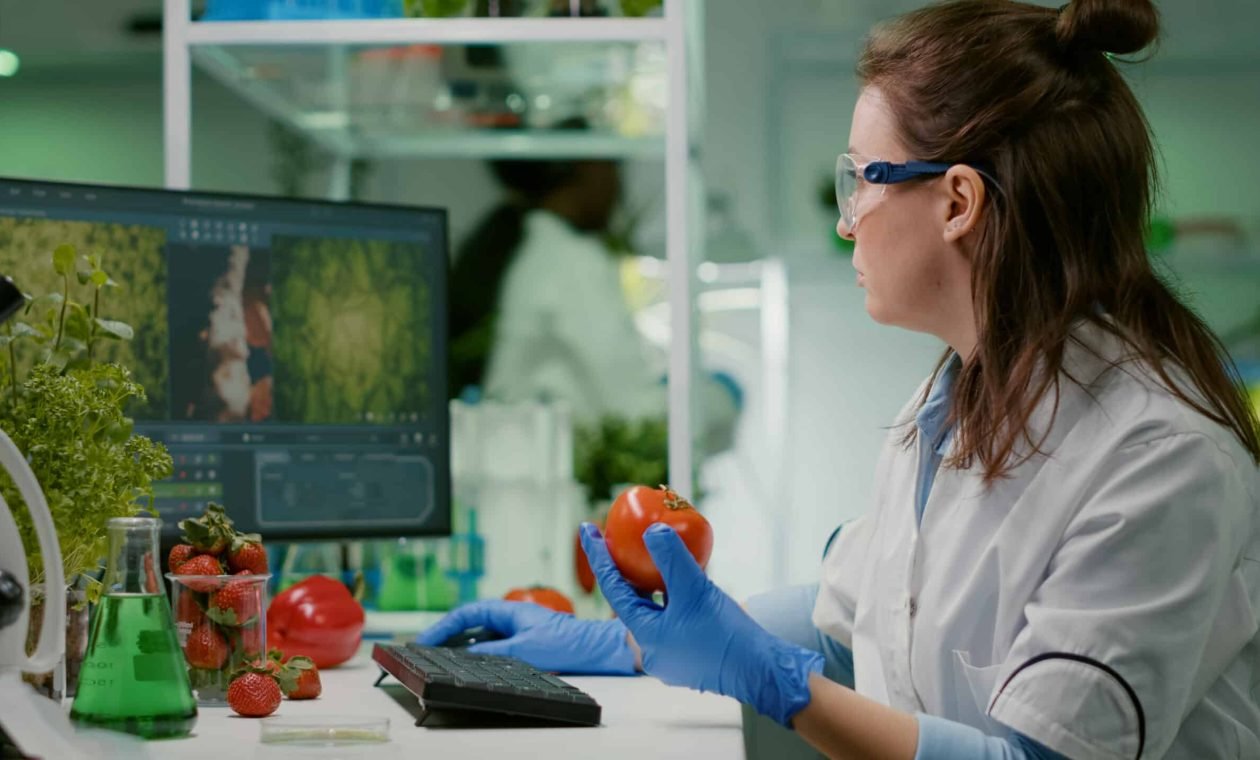 Pharmaceutical chemist examining tomato for microbiology experiment typing medical information on computer. Biochemist injecting healty vegetables with pesticides working in agriculture laboratory SSUCv3H4sIAAAAAAAACnRSy27bMBD8FYNn0+VKFCn5VrRpi6IBDPTQQ1wEy4cswrRoUFSKwsi/d6U4x952l7OPmeGNGZyCZfsbCzHOU8lYQhrZXmxZ9qPzeQ1fcq3EGnkXSsoB45oZLHYY8eLZfpxjfN2yqWCZJz/RRMosFn8i+Jq/r3q6LXW2Zz9t8KP1jLpmQ/ljmKyPEUef5om9bt9x3zzGMljM/sMj7be0/D8tv7cMTzTz77Ke9mcfPa7XPLFaKKGhQe6EQS419Bx7QZGXvTauNVpamuugV1ZCw5sGKi5dZThK33HhtOwBTK+cIFjb1X0jreIGneQS+oZgNLKCSnfaGKWlJlglWlSAigNUikupNG+FllyY2oFtG8BOMbr6/Kf4fLmrhrMLaRHsJRFXKtZUvOZgw3h6Q6QyLM6QQGkeSya6jJbFlK5oIpnRU5vfsgGniQDuXlgMIYvT5W3ImMqizNLpyCeKoK40adTS8bWoFIBchF4dHQI1LouWTgrtObj7uYHmM0M6NMSVQ9WRbLp2vJMIXItaeNl60WFNw+ZrTOjKwo46+5Qvq8MZJ+K/UiDGVywDFR/2xyPsNr9SPhPxzWFIJU3Ho+qo+OVh8wNNot9KR2345kBfoNAjPX1Ooz8eP4q2exYgGqgb8fxJ6GonALpGyWr3/fCVvf4DAAD//wMAS577S/oCAAA=